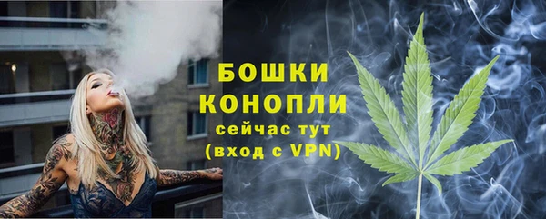 твердый Володарск