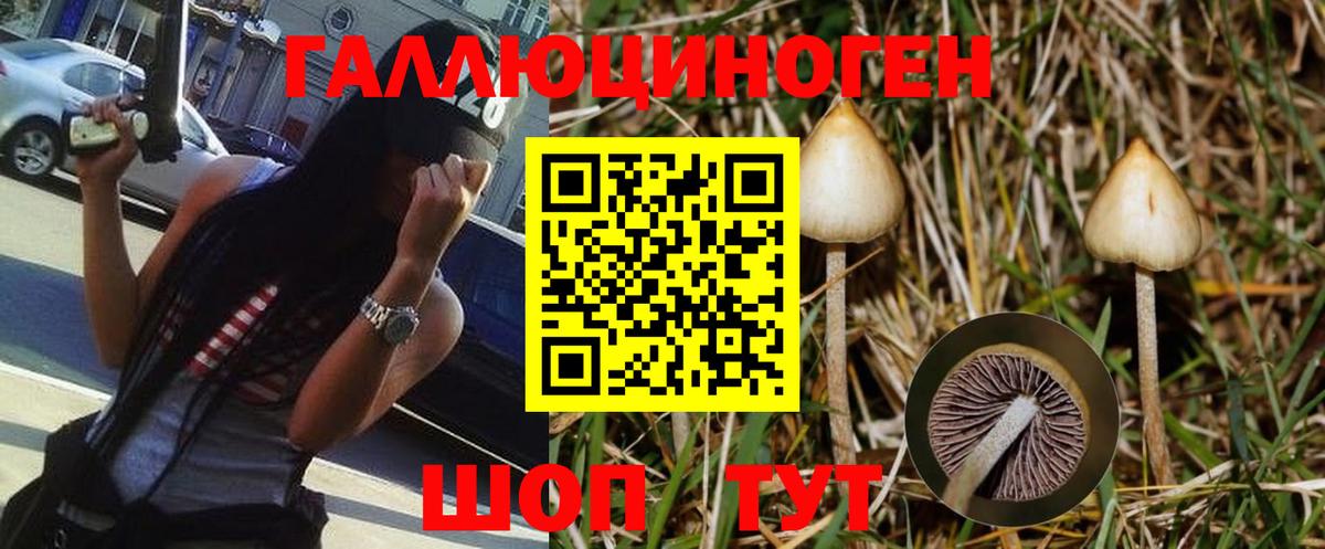 Псилоцибиновые грибы Magic Shrooms  Мегион 