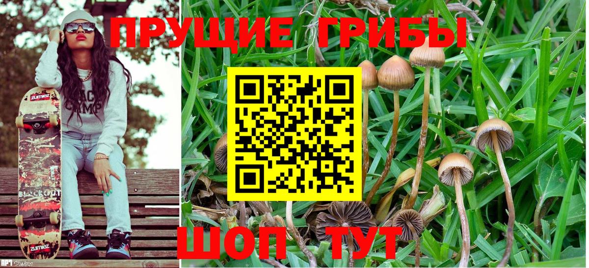 Галлюциногенные грибы Psilocybine cubensis Мегион