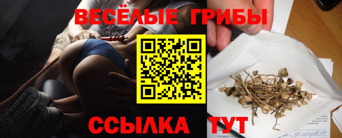 Галлюциногенные грибы Psilocybe  закладки  Вход с VPN  Мегион  Галлюциногенные грибы мицелий 